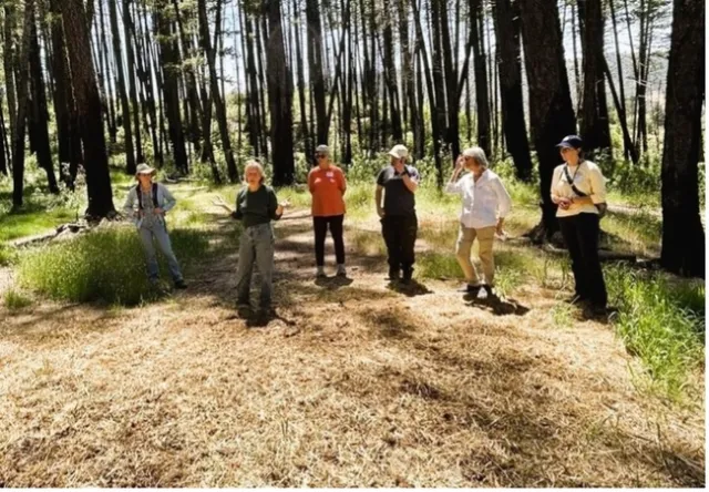 Napa County Post-Fire Resilience Workshop Participants attend an in-person field trip day. In this photo the topic discussion was about using goats as a tool to manage competing vegetation after the Glass Fire of 2020. Photo credit: Katie Reidy.