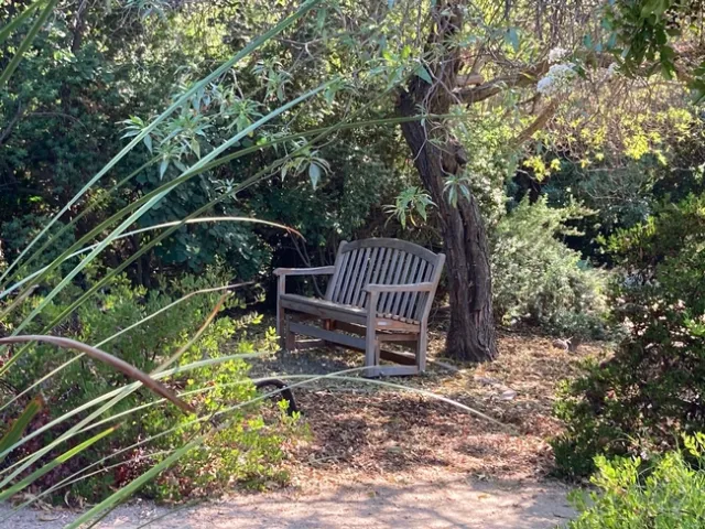 Natural enemies prefer gardens on the wild side. (Photo: Jeannette Warnert)