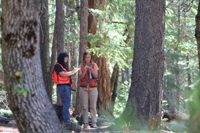 Two Forestry Mini-Camp students are pictured during a ‘Forestry Skills' portion of camp. This year was the first that Berkeley Forests held a specific session for community college students. Photo credit: Karina Bencomo.