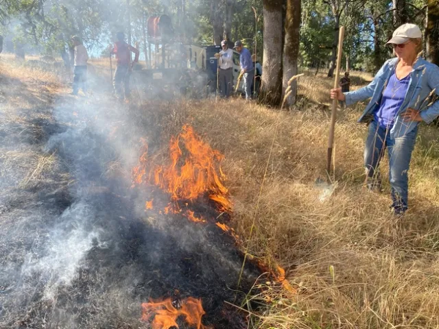 Rancher Carol Kramer managing barb goatgrass with prescribed fire. Jul 13, 2023.