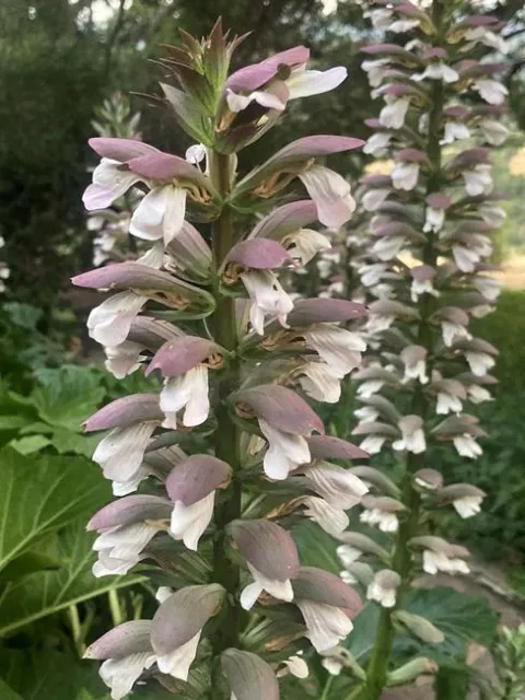 Photo by Jutta Thoerner