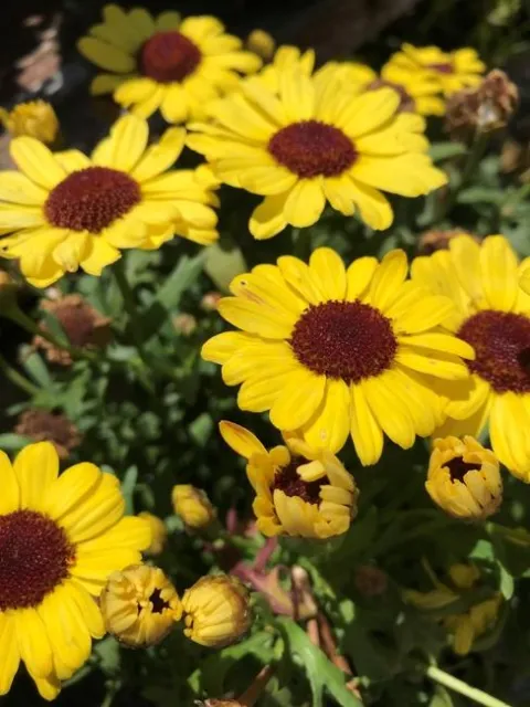 Photo by Andrea Giacoletti