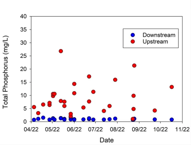 Figure 6. Total phosphorus in irrigation runoff upstream and downstream of the PAM ditch applicators sampled from April – October 2022.