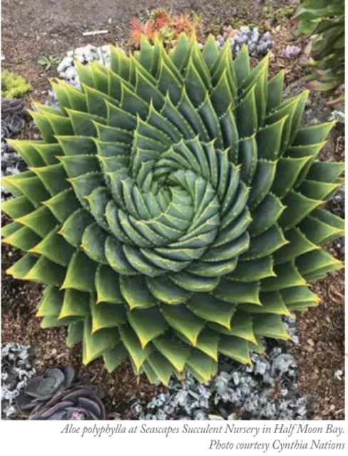 Screenshot 2023-10-10 at 9.53.48 AM