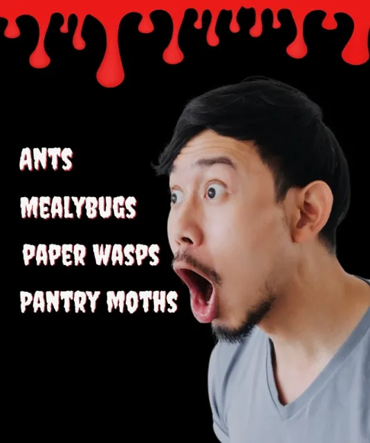 Shocked man with mouth open looking at words, 