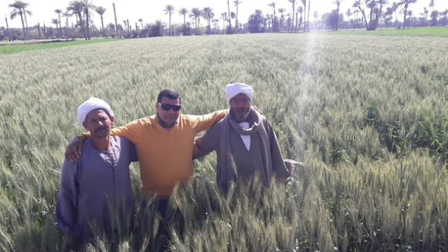 Men stand with their arms over each other's shoulders in a field