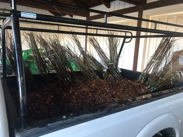 photos by Matt Wilke