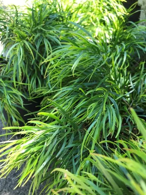 Photo by Andrea Peck