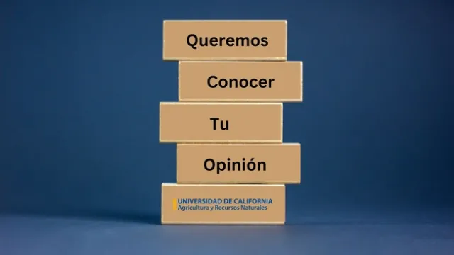 queremos conocer tu opinion