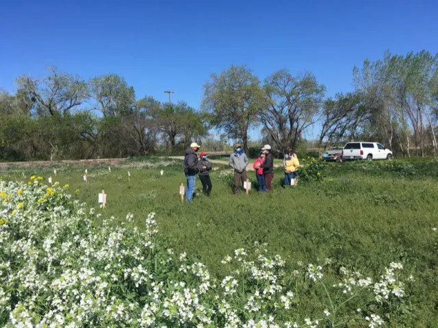 Drive-by field tour in 2021