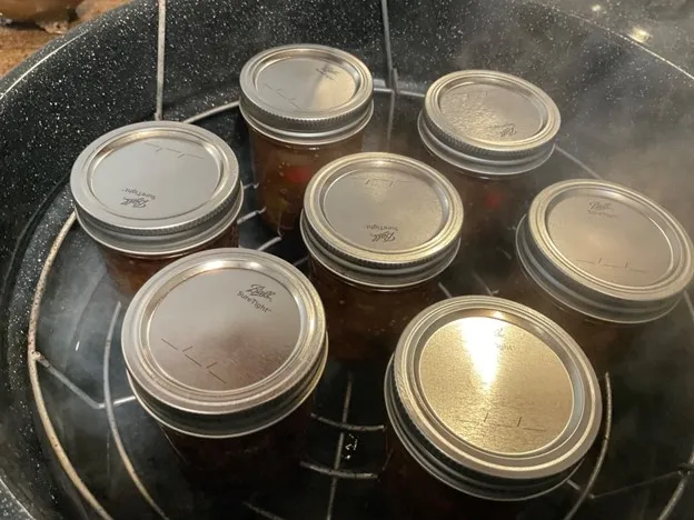 Filled jars placed on water bath canner rack