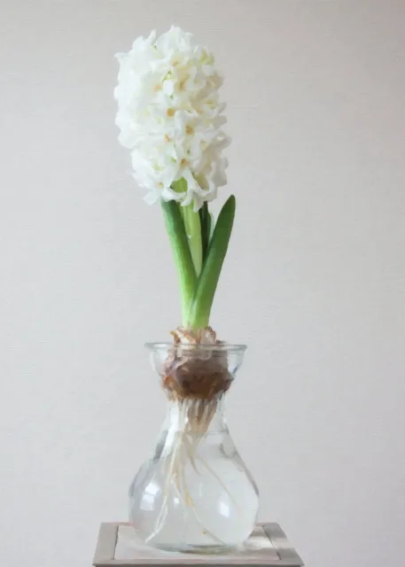 Photo: Jim Fawns on Pexels