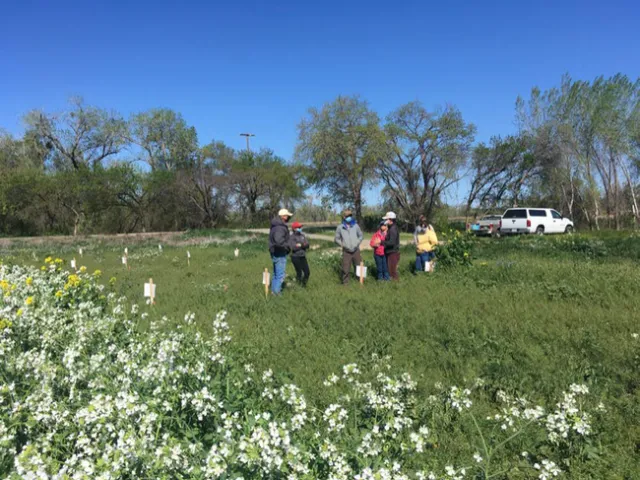 Drive-by field tour in 2021