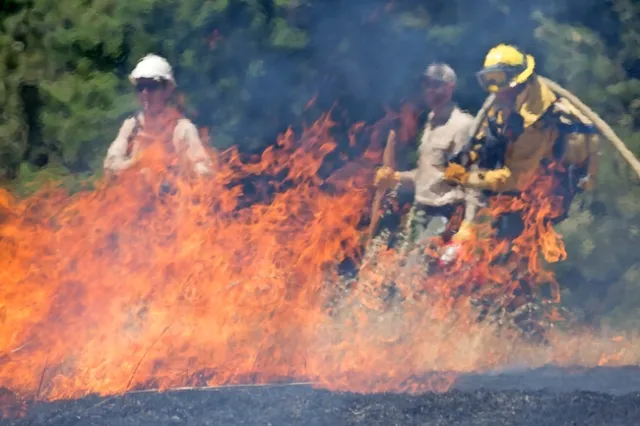 Firefighters look on during a prescribed burn