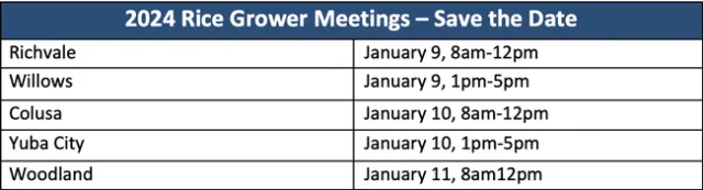 Screenshot 2023-11-17 at 1.13.19 PM