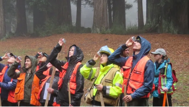 Forest Stewardship Workshop participants practice measuring tree heigh with a clinometer. Credit: G.Dean
