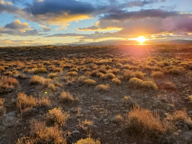 Rays of sun peek over the horizon onto rangeland.
