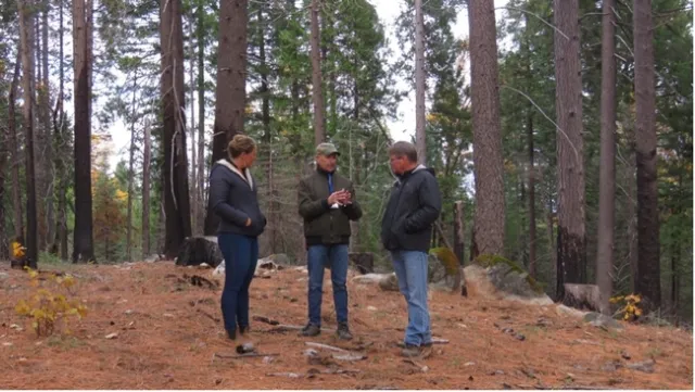 Three people standing in a forest.