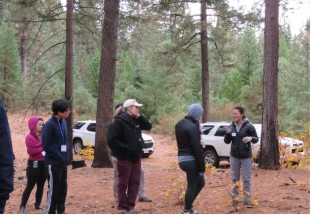 People standing in forest with cars in the background.