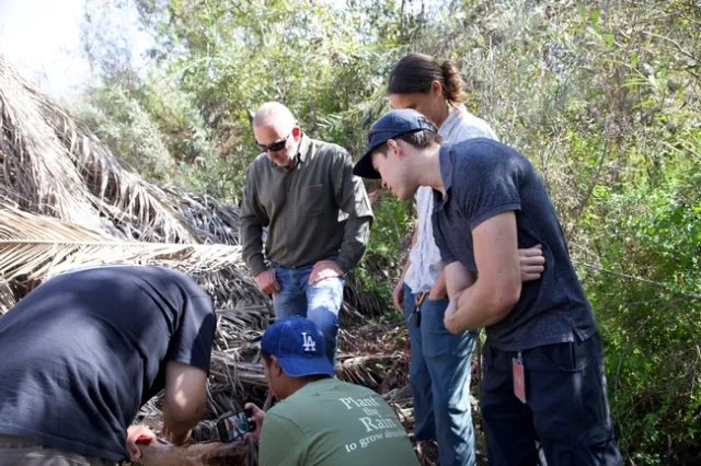Five people look at frond of dead palm tree.