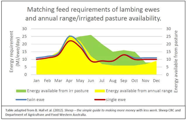 managing feed requirements on CA range & pasture 2