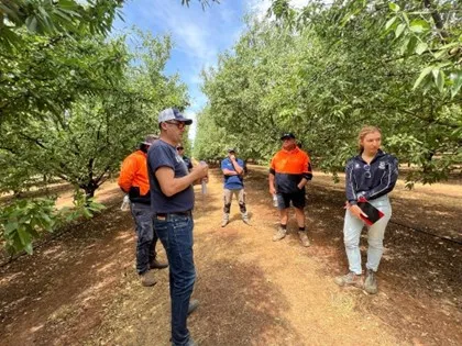 Florent leading a field extension meeting through almond block at Kearney.