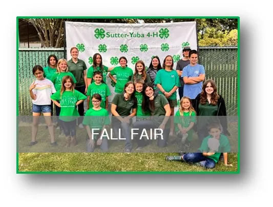 Fall Fair