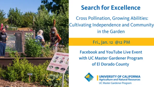 Facebook Live: Search for Excellence, Cross Pollination, Growing Abilities: Cultivating Independence and Community in the GardenDate: Friday, January 12Time: NoonLink: https://fb.me/e/8ntmrDNJd