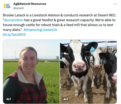 Brooke on left, cow faces on right