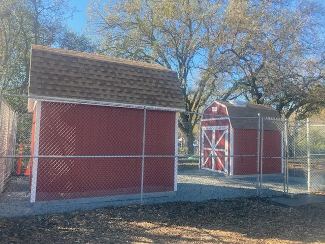 23-01-24NewShedsOurGarden