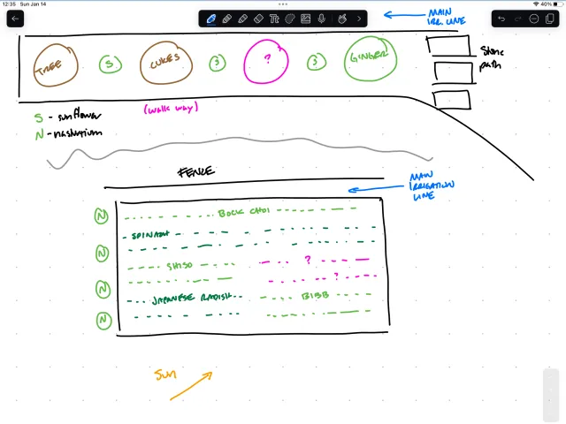 This sketch identifies which veggies and plants I'll be planting in one of the raised beds. Image by Michelle Chin.