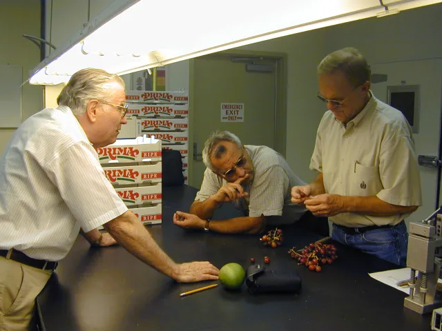 Examining postharvest issues of grapes with growers.