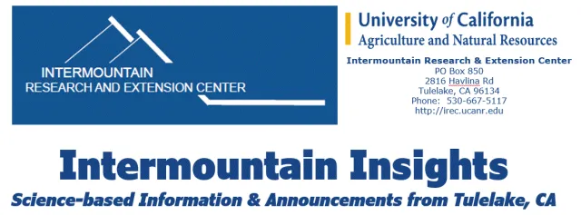 Intermountain Insights Header pic (002)