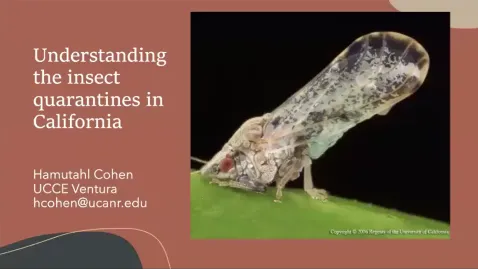 Quarantines_ZoomCover