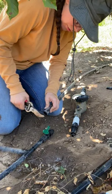 Jacqueline Vasquez Mendoza, staff research associate, measuring drip-line flow rate in a commercial field.