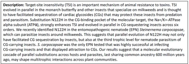 Screen Shot 2024-01-03 at 4.22.29 PM copy