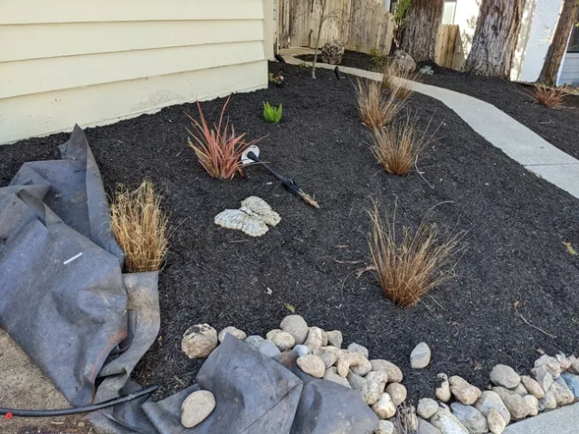 trashed-1652767509-PXL 20220311 214007206.MP