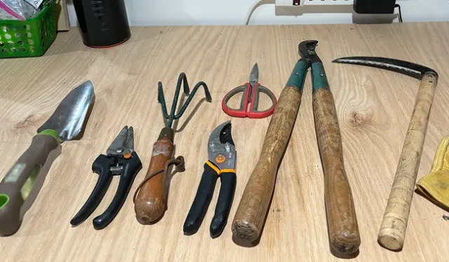 A variety of garden hand tools
