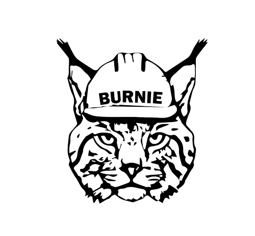 Burnie the Bobcat. Credit: UC Davis Newsroom.