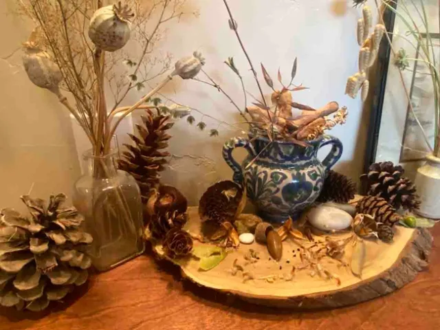 Home Seed Altar. Jennifer Jewell