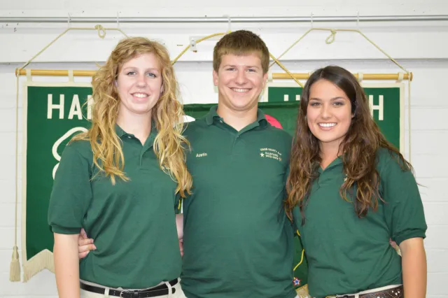 MicrosoftTeams-image (1)