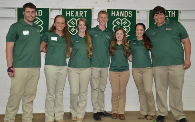 MicrosoftTeams-image (4)