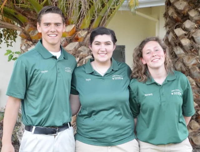 MicrosoftTeams-image (5)