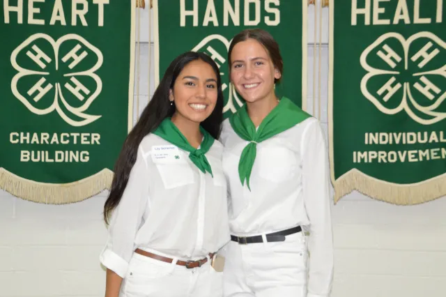 MicrosoftTeams-image (7)