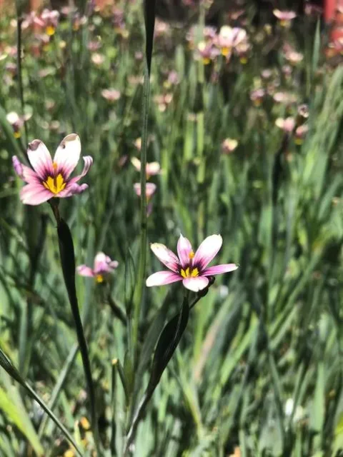 Photo by Andrea Peck