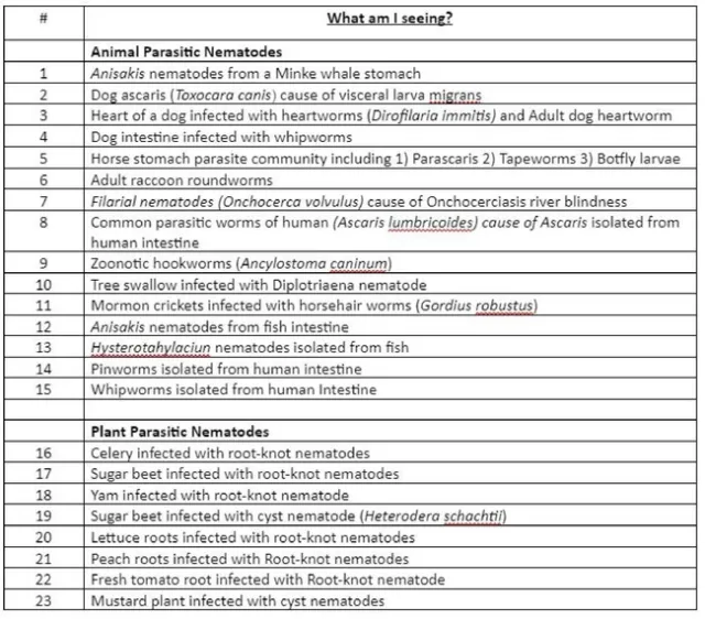 Nematode list