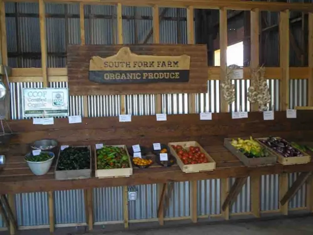 A road trip might take you to a farm stand like this one at South Fork Farm in Placerville. Laura Lukes