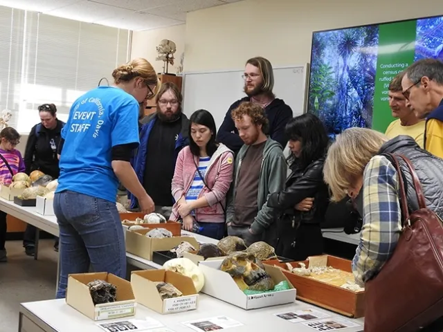 Anthropology Museum: Attendees check out the displays and ask questions. (Photo by Kathy Keatley Garvey)