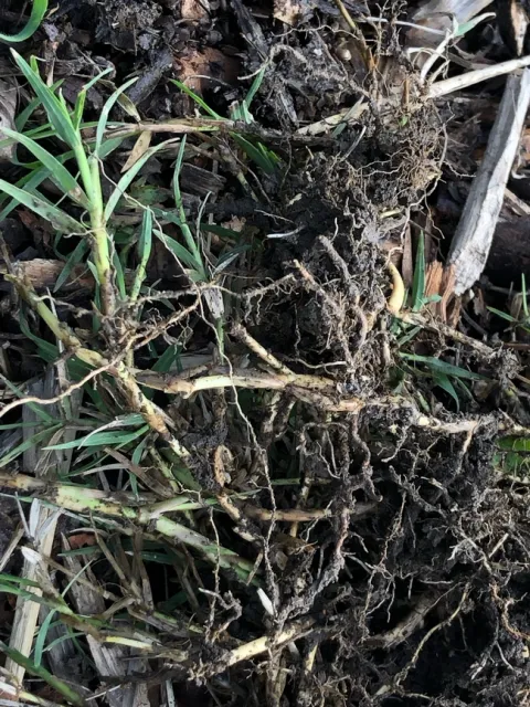 photos by Tanya Kucak