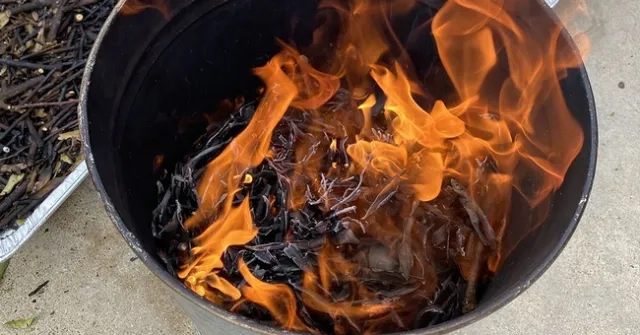 A series of wildfire experiments conducted at UC San Diego carry implications for aquatic ecosystems in areas such as the Sierra Nevada mountains. Photo credit: C.Wall